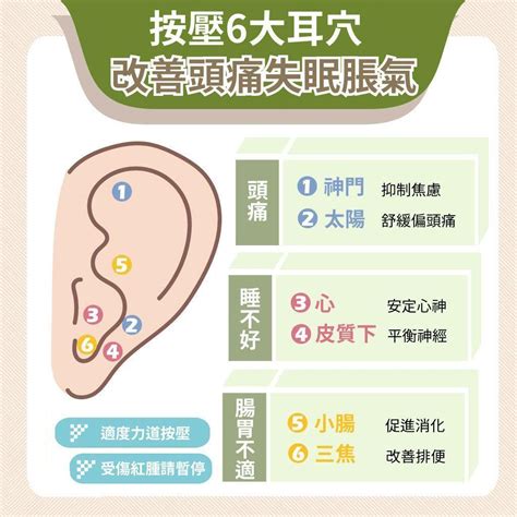 風是穴|【按按穴位。完美圖解】翳風 改善耳鳴、失眠症狀